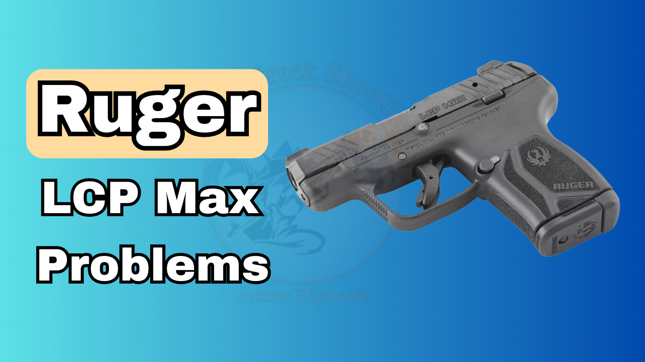Ruger Lcp Max Problems