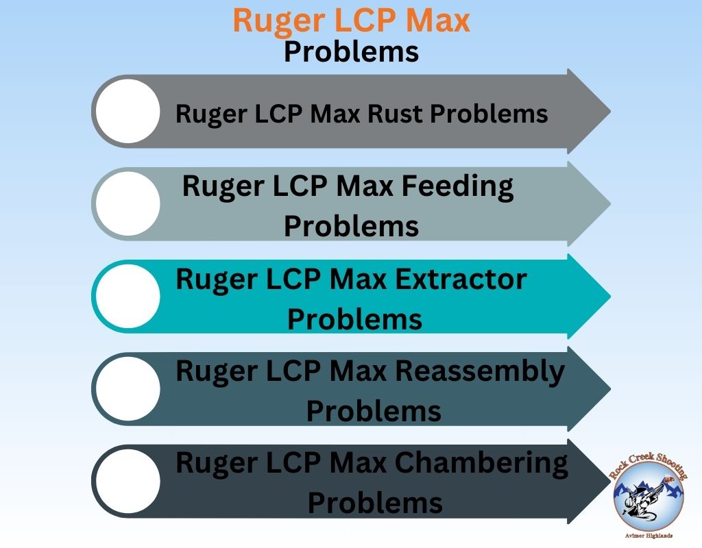 Ruger LCP Max Problems