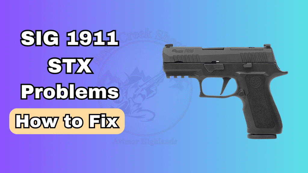 SIG 1911 STX Problem