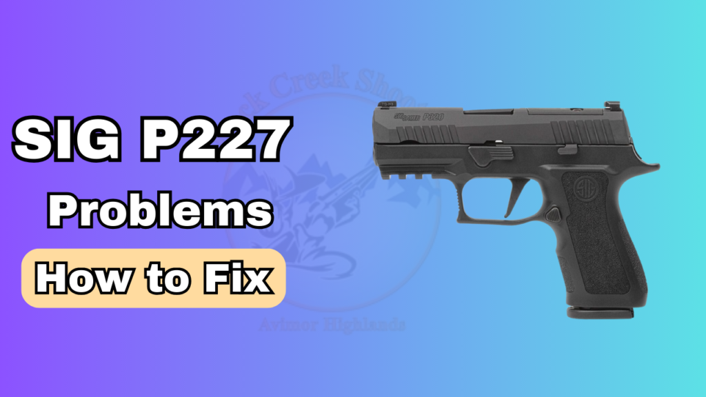 Sig P227 Problems