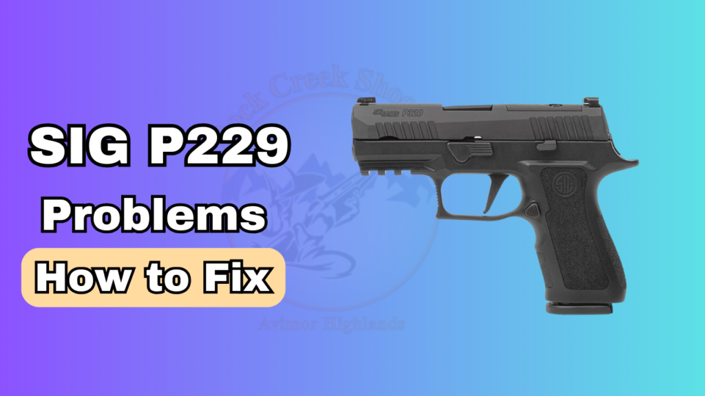 Sig P229 Problems