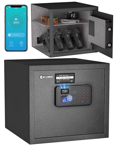 Best Gun Safe for the Money