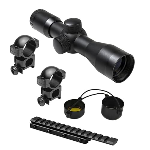 Best Scope for Henry 22
